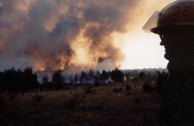 labordayfires.jpg